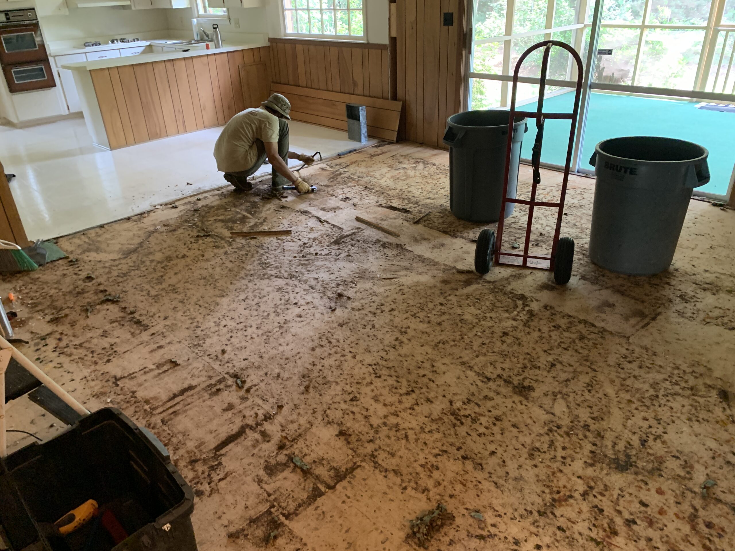 Aiken floor demo carpet removal