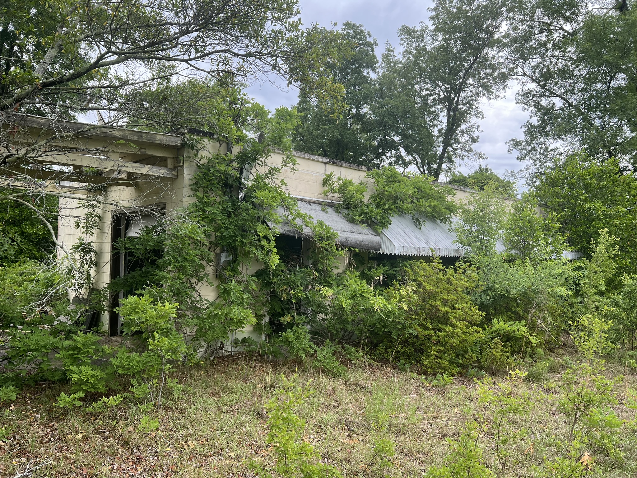 Overgrown southeast side of a block building before demolition in Windsor SC