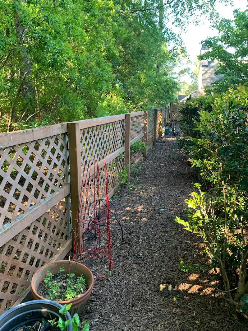 Wood fence before removal at a residential property in Aiken SC