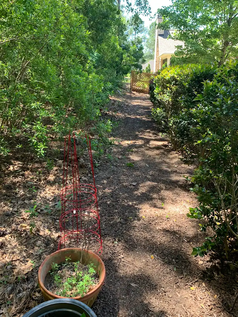 Residential property after wood fence removal in Aiken SC